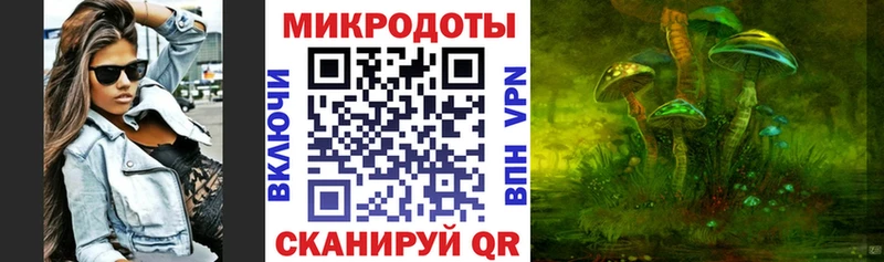 Псилоцибиновые грибы Psilocybine cubensis  Кемь 
